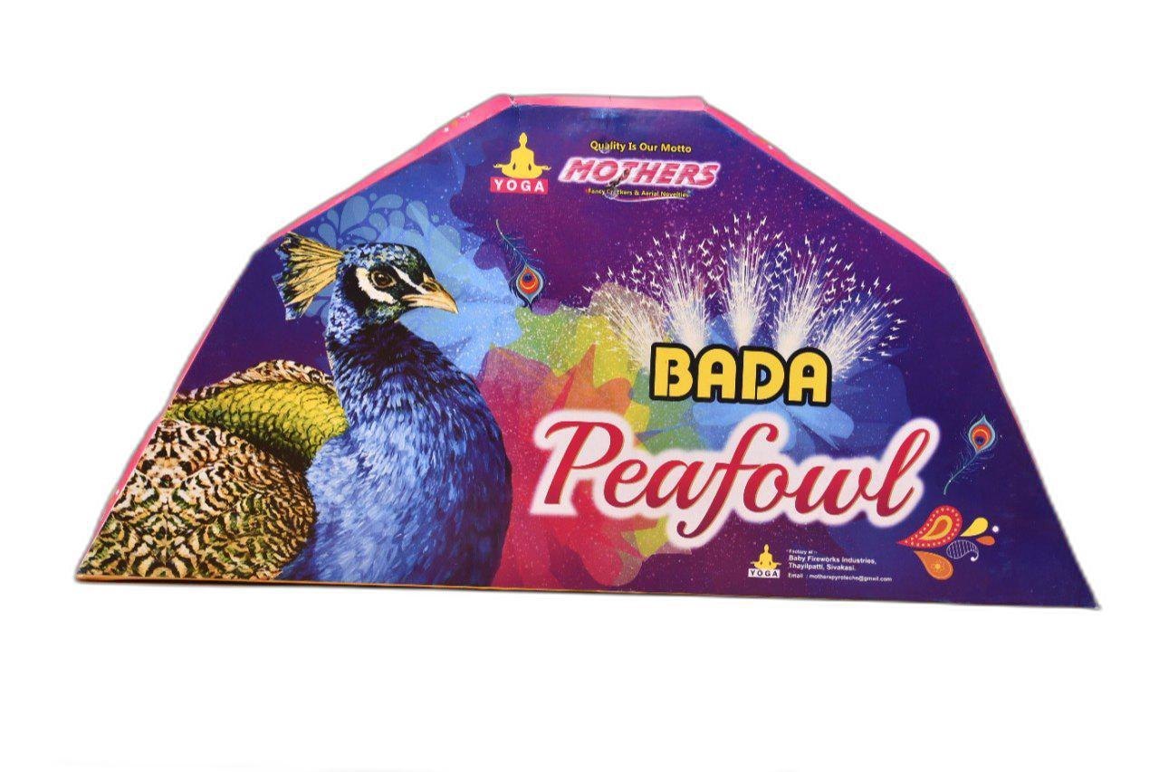 9.FANCY SETOUTS