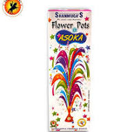 FLOWER POT ASOKA